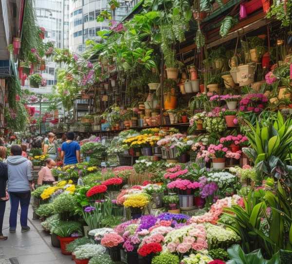 虹口区鲜花盆景批发市场，品质生活园艺新选择，实惠乐享园艺乐趣