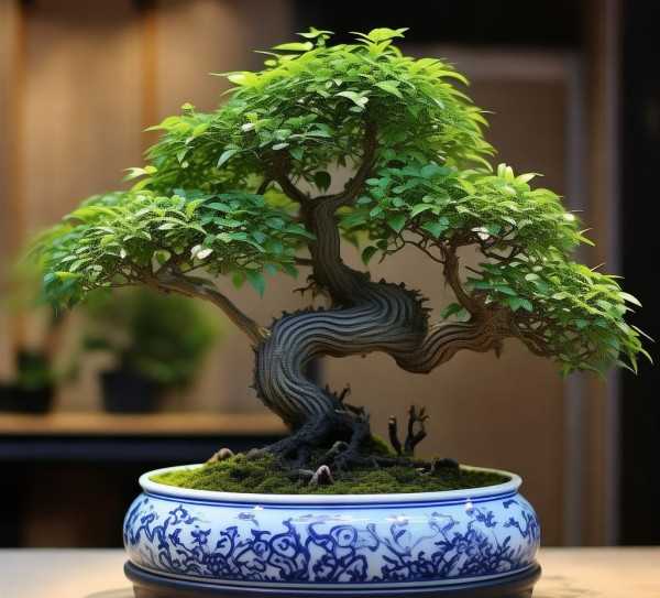 传统青龙盆景艺术，点缀现代生活美学,青龙鲜花盆景，传统艺术与现代生活的融合,寓意,鲜花盆景,盆景艺术,第1张