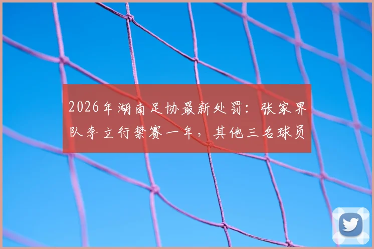 2026年湖南足协最新处罚:张家界队李立行禁赛一年,其他三名球员分别停赛半年,附足协纪律条款详解