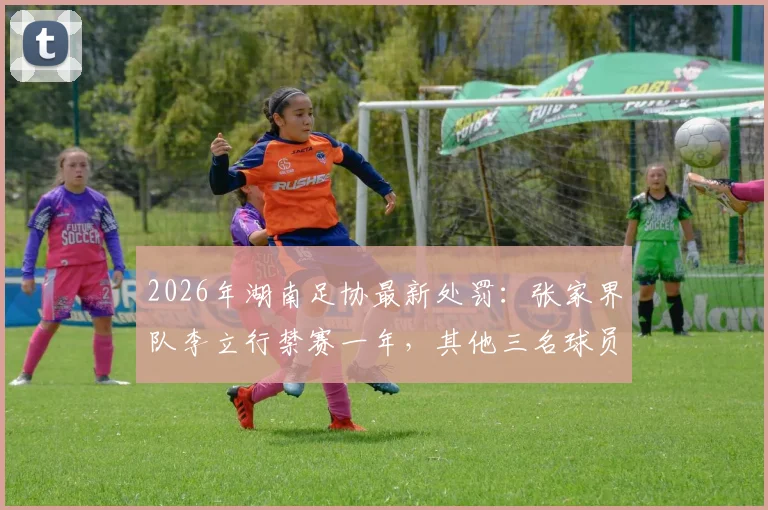 2026年湖南足协最新处罚：张家界队李立行禁赛一年，其他三名球员分别停赛半年，附足协纪律条款详解